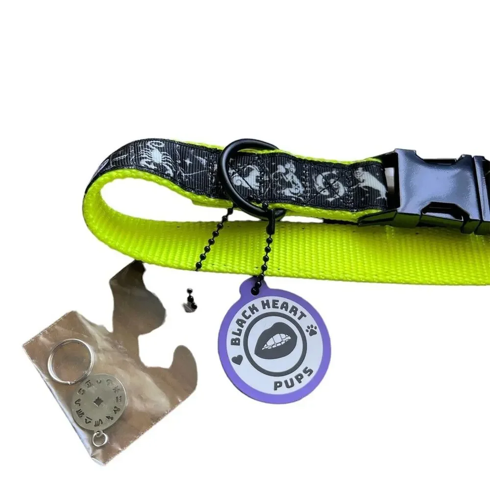 Orion Dog Collar Zodiac Astrology Neon Yellow Size Small New With Tags